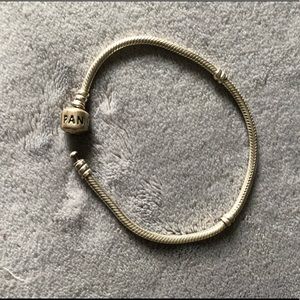 Pandora moments snake chain bracelet